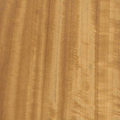 Satinwood